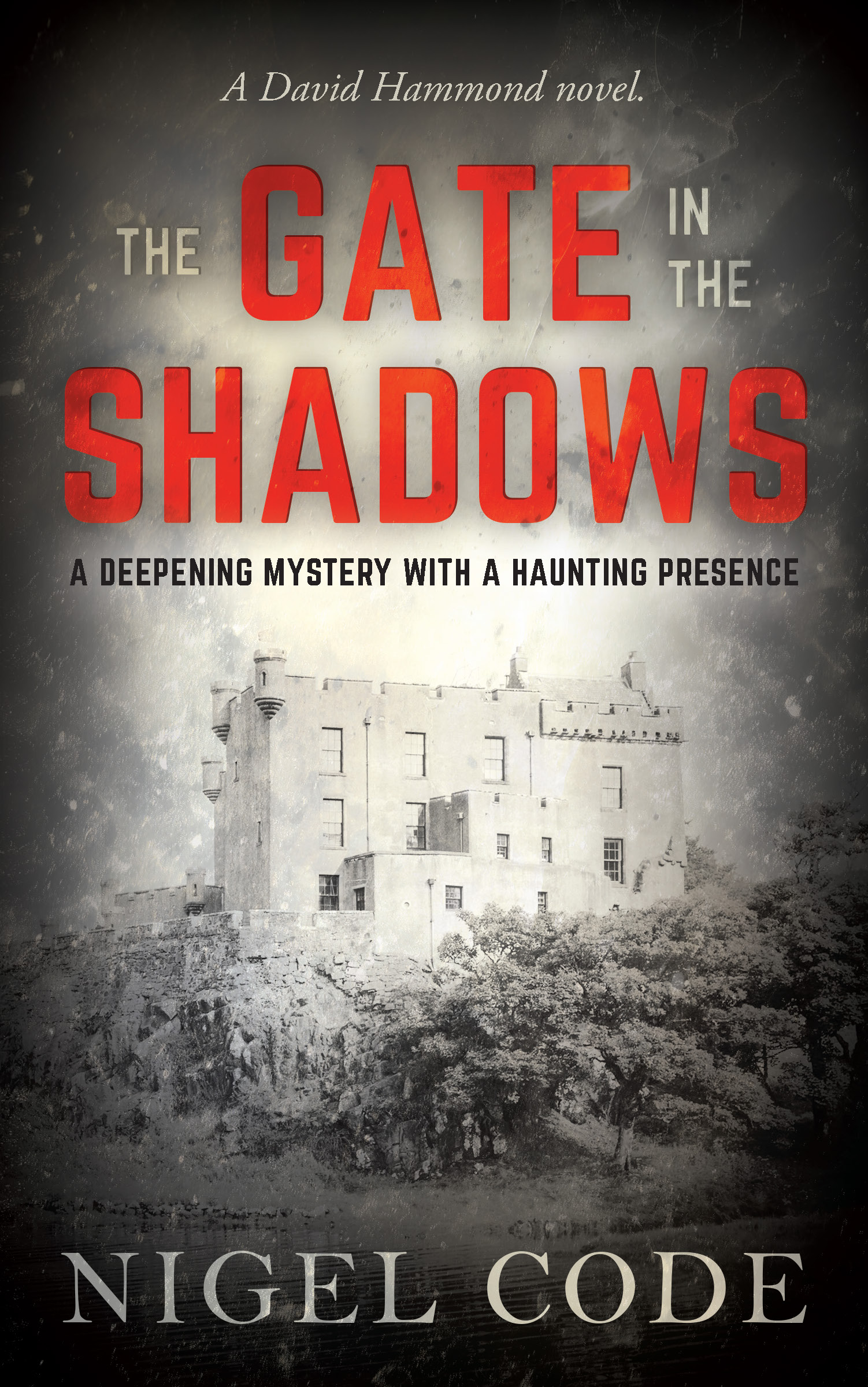Book cover of The Gate in the Shadows by Nigel Code